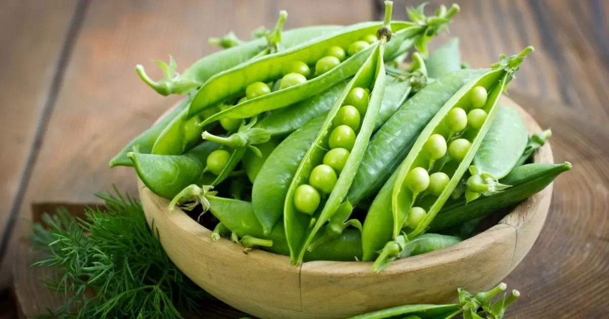 Advantages Of Sugar Snap Peas For Well being