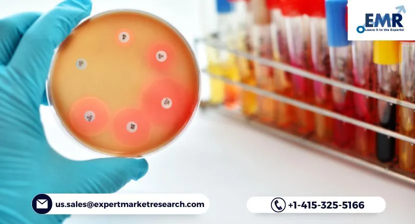 Global Antimicrobial Additives Market Size, Share, Key Players, Report, Trends, Growth, Forecast 2023-2028