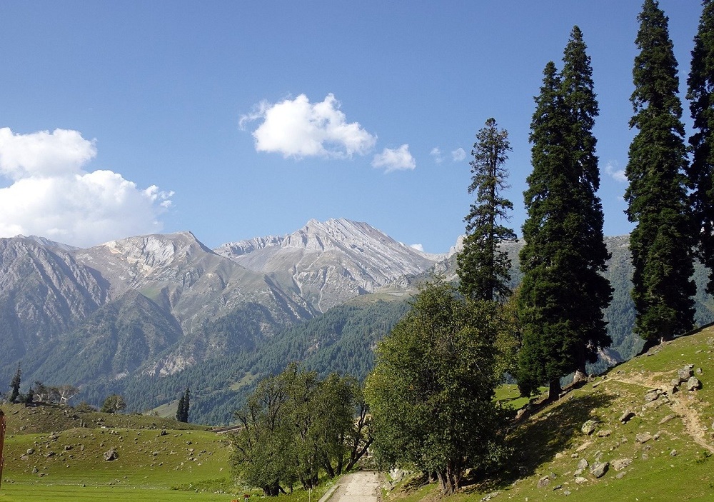 Discover The Paradise Jammu and Kashmir Through Our Tailored Tour