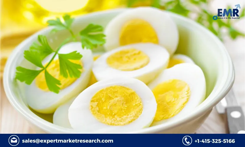 Germany Solid Egg Substitutes Market Report, Size, Share, Trends, Key Players, Growth, Forecast 2023-2028