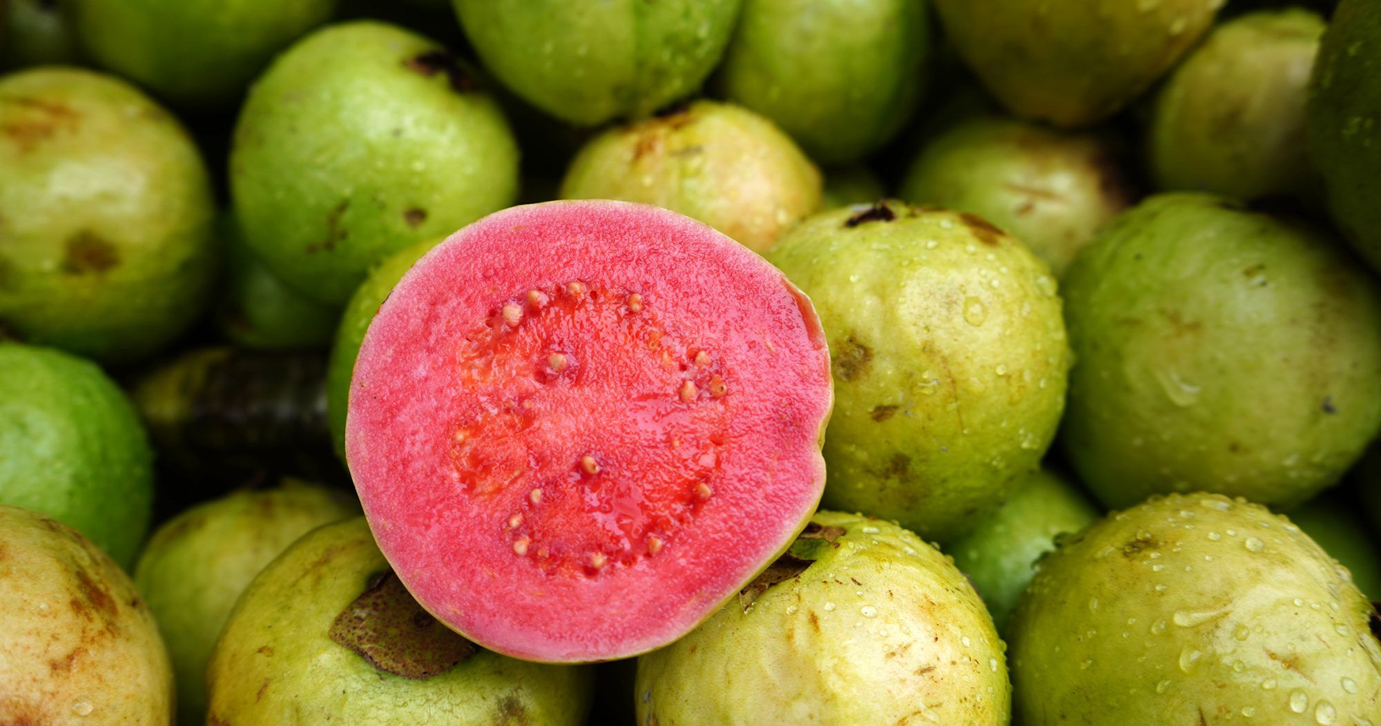 Guava for health advantages
