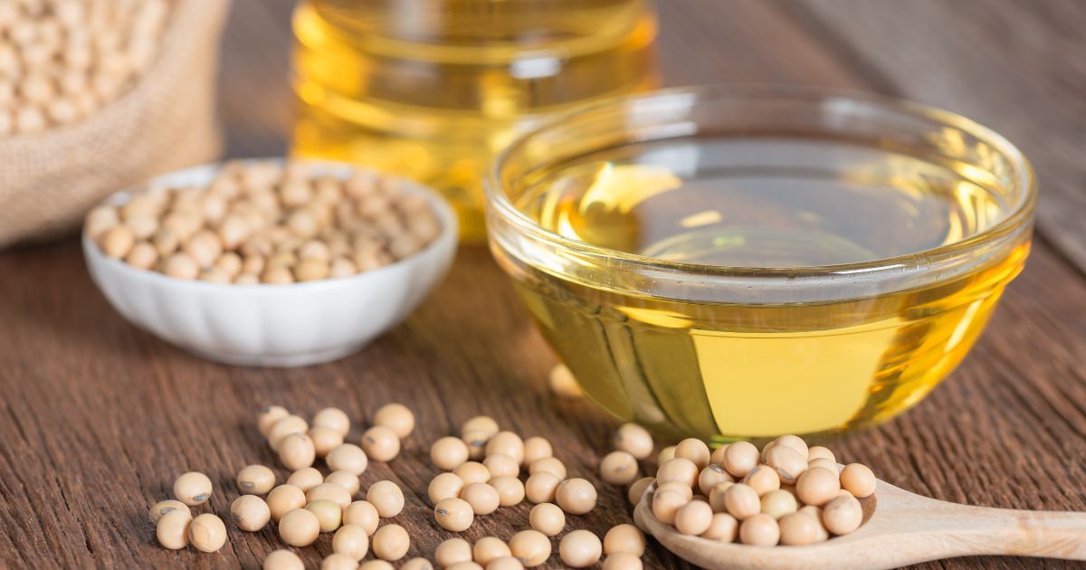 Nutritional Excellence and Culinary Versatility: Unveiling Growth and Trends in the Latin America Soybean Oil Market
