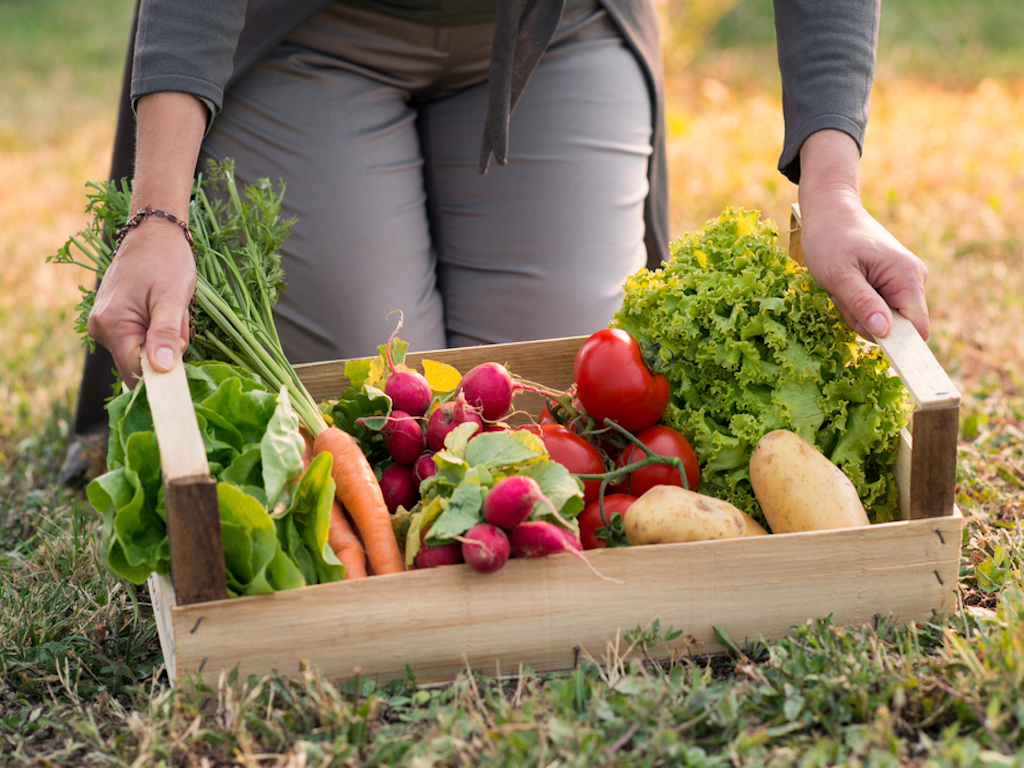 Organic Food Has Health Benefits For Humans
