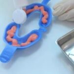 Do Fluoride Place Your Family's Dental Wellbeing In Danger