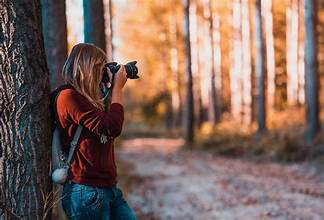 A Beginner’s Guide to Photography