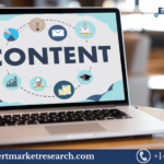 Content Moderation Solutions Market