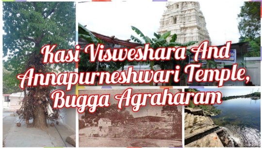 Kasi Visweshara and Annapurneshwari Temple
